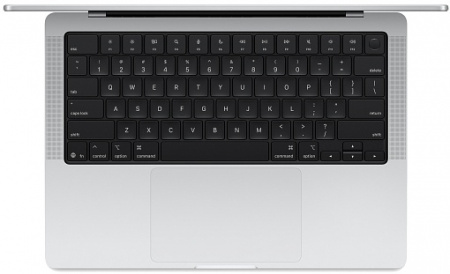 Ноутбук Apple MacBook Pro 14" (2025) (M5 10C CPU, 10C GPU) 24 ГБ, 1 Тб SSD, серебристый (MDE64)